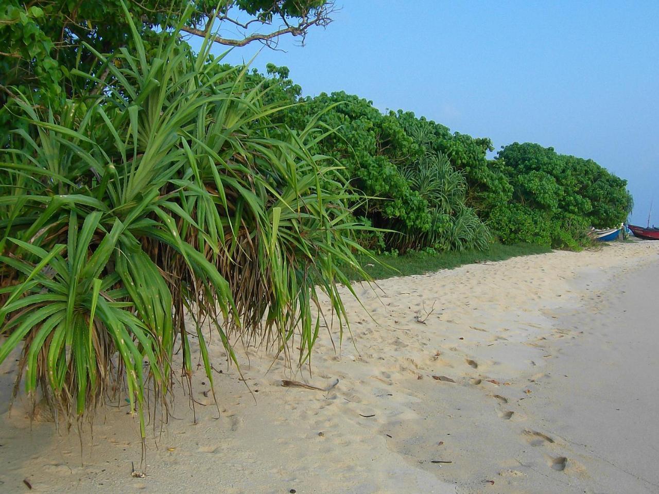 Mendis Cottage Weligama Zewnętrze zdjęcie